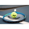 image:imagePenn Championship Tennis Balls  Extra Duty12 Cans  36 Balls