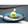 image:imagePenn Championship Tennis Balls  Extra Duty6 Cans  18 Balls