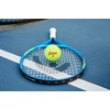 image:imagePenn Championship Tennis Balls  Regular Duty1 Can  3 Balls