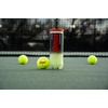 image:imagePenn Championship Tennis Balls  Regular Duty1 Can  3 Balls