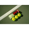 image:imagePenn Championship Tennis Balls  Regular Duty15 Cans  45 Balls