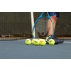 image:imagePenn Championship Tennis Balls  Regular Duty24 Cans