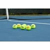 image:imagePenn Championship Tennis Balls  Regular Duty24 Cans