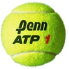 image:imagePenn World Tour Extra Duty Tennis Ball Can