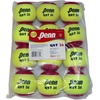 image:imagePenn QST 36 Tennis Balls  Youth Felt Red Tennis Balls for Beginners 12 Ball Polybag12balls